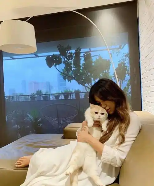 蔡健雅为心爱的猫咪庆生,两种文字表达爱意,真正的撸猫达人_约翰马丁