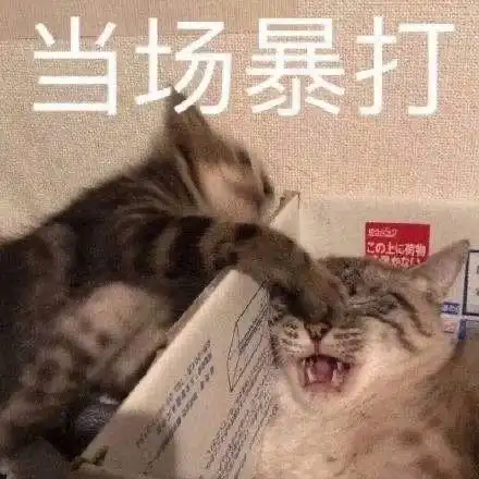 我也给了管理员一顿暴打qq表情包搞笑图片表情