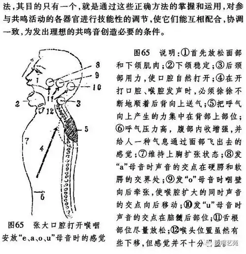声乐训练七打开喉咽腔的共鸣训练法