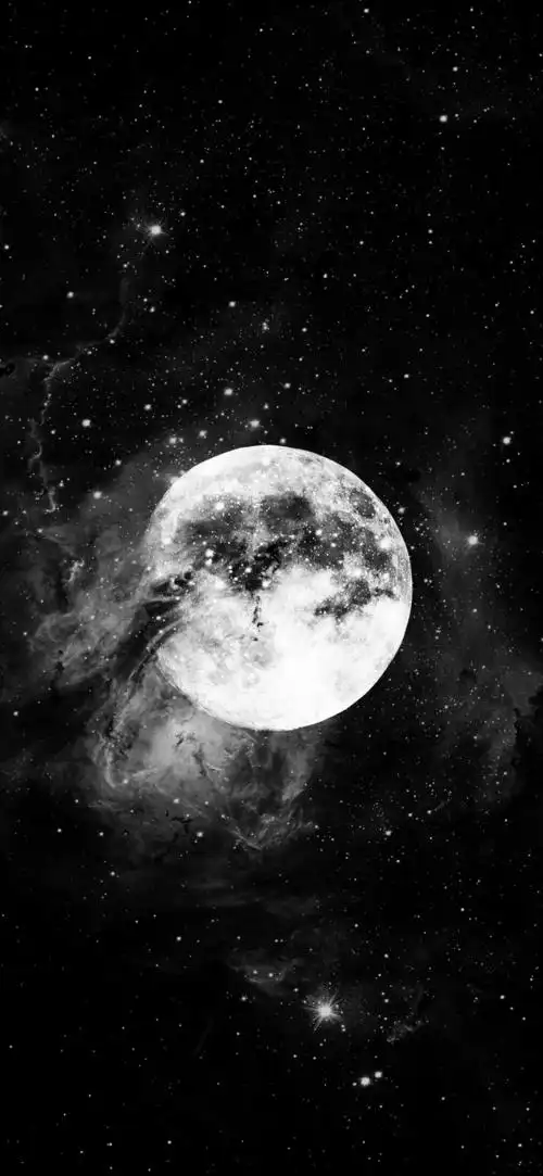 1080_2340竖版 竖屏