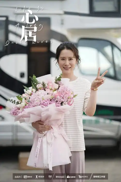 由海清主演电视剧心居情感冲突版预告释出