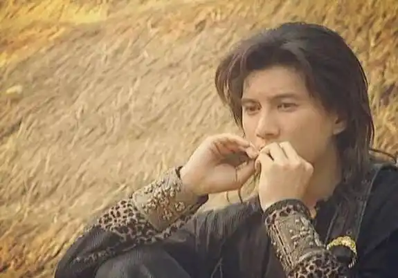 《小侠龙旋风》播出30年,两位男主近况悬殊,神仙姐姐退圈多年_吴奇隆