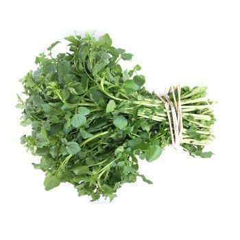 新鲜西洋菜 农家豆瓣菜 东洋菜 山泉水蔬菜 火锅配菜 1.