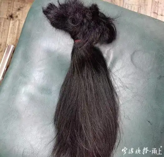 捐献者剪下的头发 图片由受访者提供