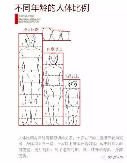 初学者懂得标准人体比例是很有益处的,通常**惯以人头长度为衡量单位