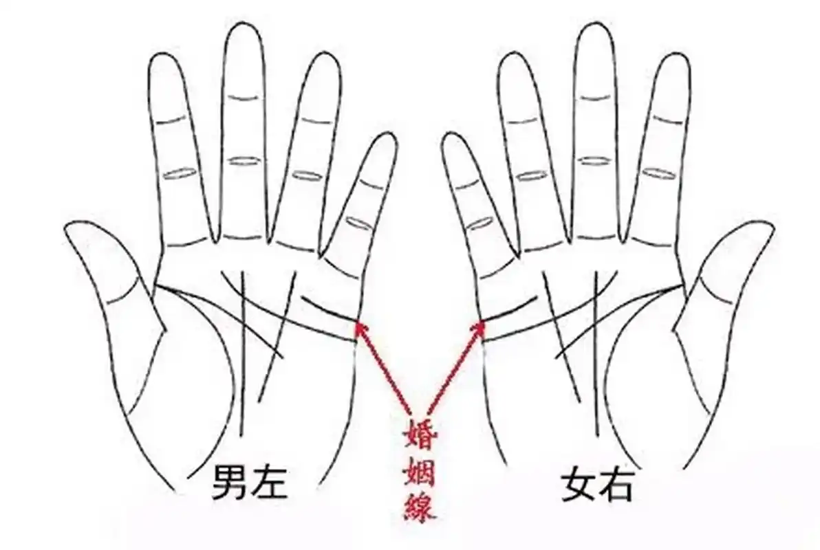 婚姻线很短  婚姻线出现短线.