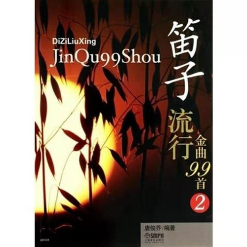 笛子流行金曲99首2唐俊乔上海音乐出版笛子简谱曲谱教材音乐