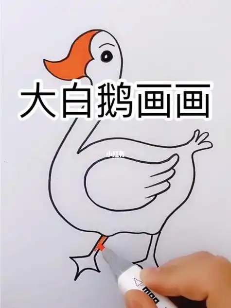 鹅简笔画彩色步骤
