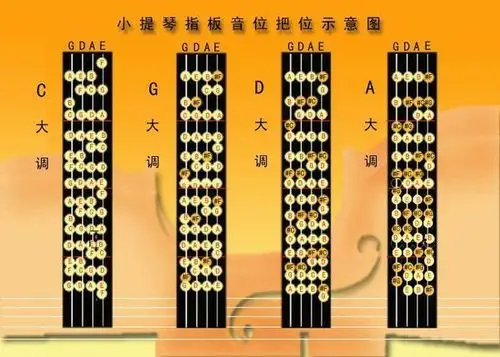 小提琴各大小调在各把位的音位图或指法图,要一个自学完全能看懂的.