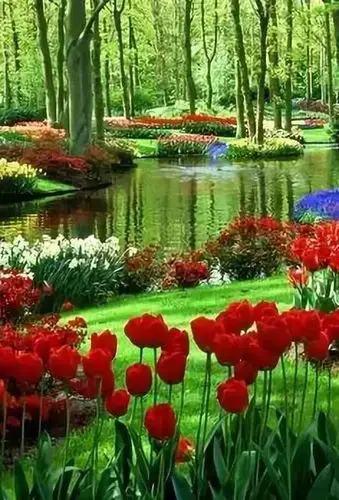 绝美山山水水,花花草草!