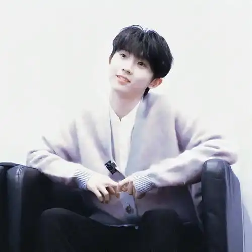 可可爱爱 马嘉祺头像/自截自修 禁二改 二传标注策略向南