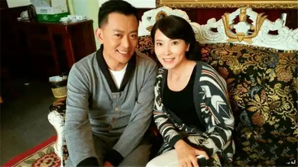 嫁给黄海冰后,闫妍却不肯生育,遭丈夫质问竟回答:要生找别人_甄锡