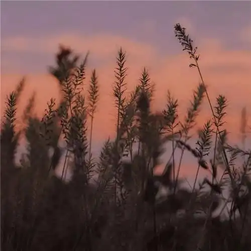 适合一辈子风景头像图片