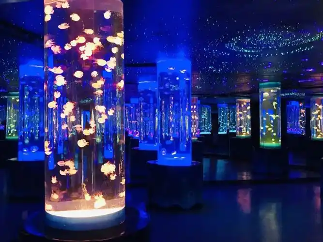 2022兰州海洋公园门票价格优惠政策开放时间游玩介绍