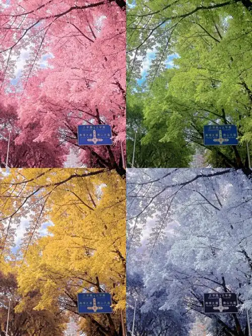 用1张图调出了四季颜色95春天绿选择一张春夏的照片,从p2原图调成p3