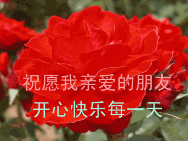 每好的一天又开始了,祝大家开心愉快!幸福安康!