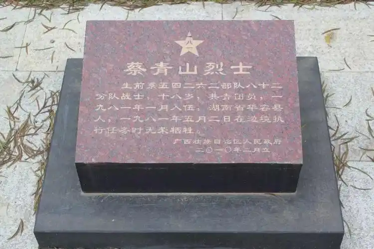 广西靖西县烈士陵园湖南籍岳阳地区烈士墓碑照