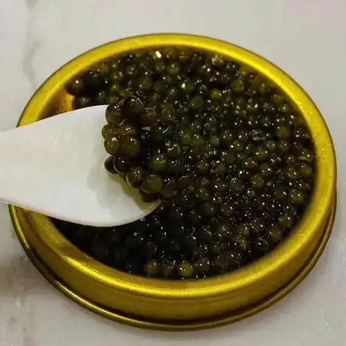 鱼子酱即食深海凝结黑鱼籽酱罐头10g海鲜寿司鱼籽酱