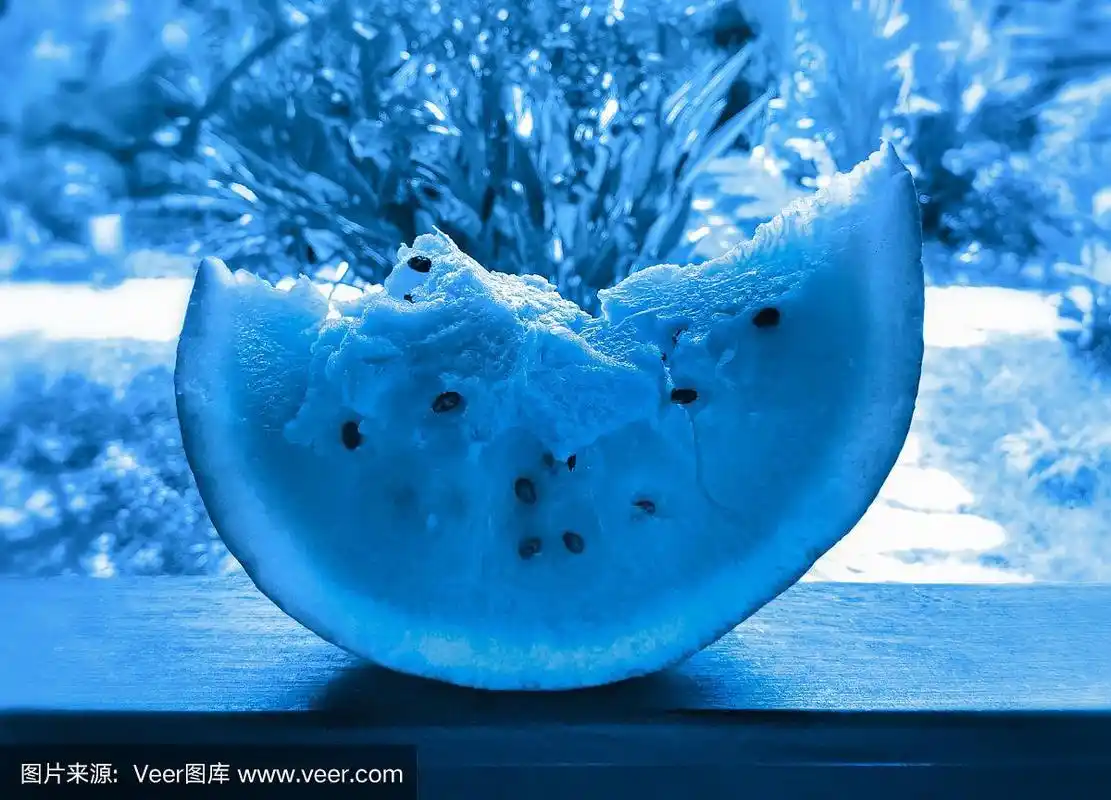 大片成熟的西瓜放在热带花园的木栏杆上,颜色是2020年流行的经典蓝色.