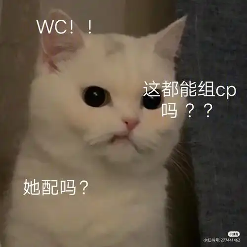 雷狮与王默组cp事件(雷安才是yyds)