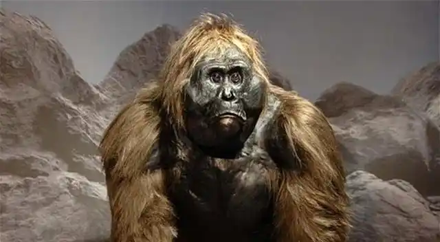 老话说"关东有毛人",此言非虚,挖参人自述遇到毛人的经历