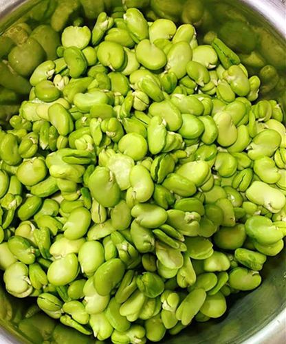 一米左右-特价促销-优惠券领取-价格|多少钱|什么牌子好-35优惠券网站