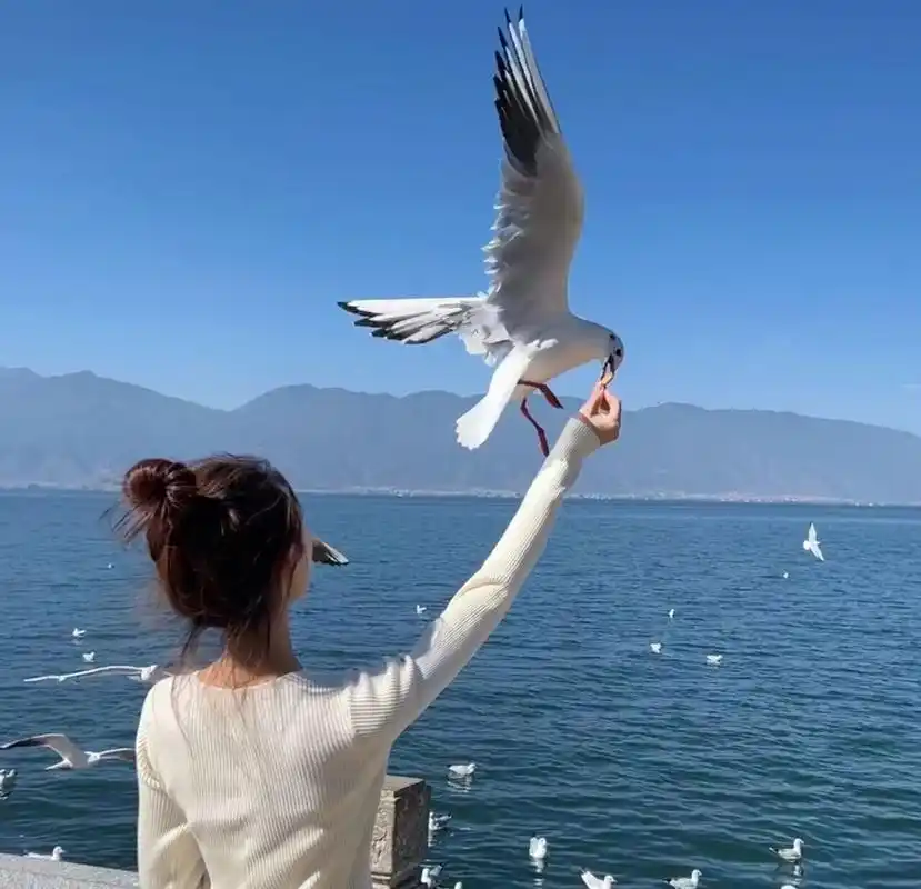 百看不厌的背影女生头像