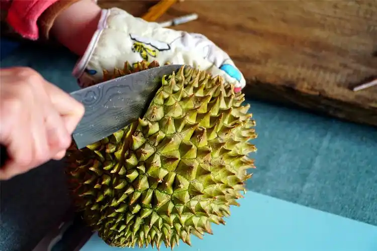 原创榴莲难剥皮?用蛮力可不行,教你3招,辨生熟,催熟,剥皮全搞定