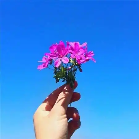 给人一种阳光的头像高清唯美阳光干净的微信头像图片