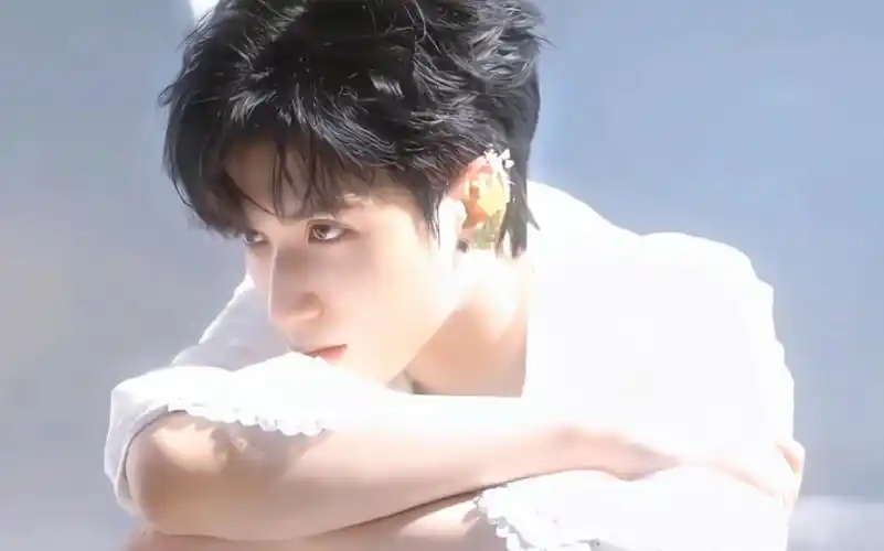 【严浩翔】内娱绝美蝴蝶少年