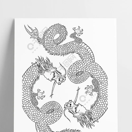 简笔素描白描线稿双龙分层psd