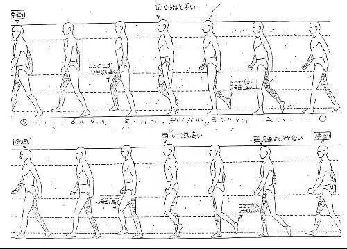 运动规律的人物行走分解图