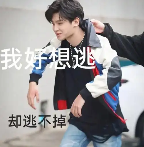 表情包分享#我最爱的表情包#搞笑表情包#justin黄明昊#向全世界安利