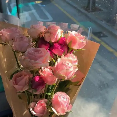 ins潮图朋友圈背景图/高质量/神仙背景