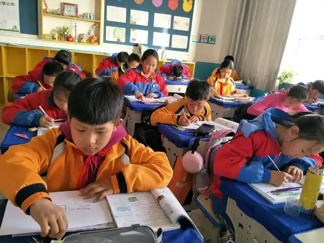 海南区西卓子山学校小学生语文思维导图大赛