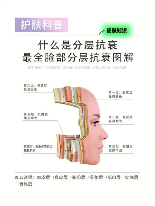 美容院科学高效护肤|图解分层皮肤管理