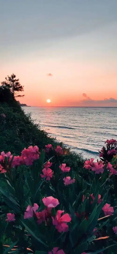 壁纸 | 高清优质ins风锁屏壁纸