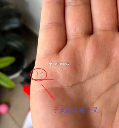 手相小知识:子女运,看子女线.