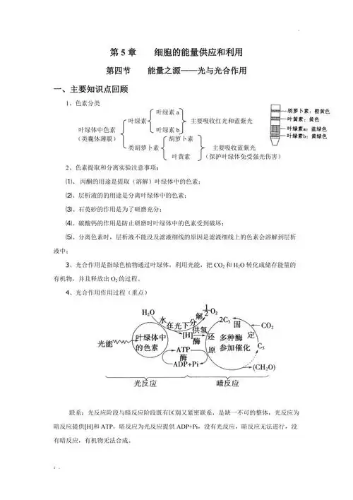 光合作用知识点总结
