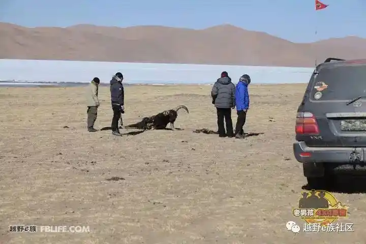 沉湖可可西里相遇李聪明悲情的三大无人区穿越纪行