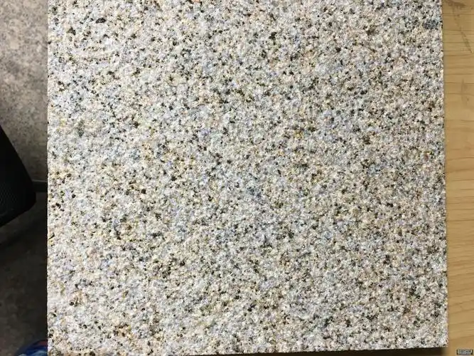 黄金麻荔枝面3 (2)