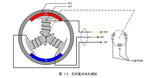 星形连接,单副磁对极的无刷直流电机,它的定子在内,转子在外,结构和图