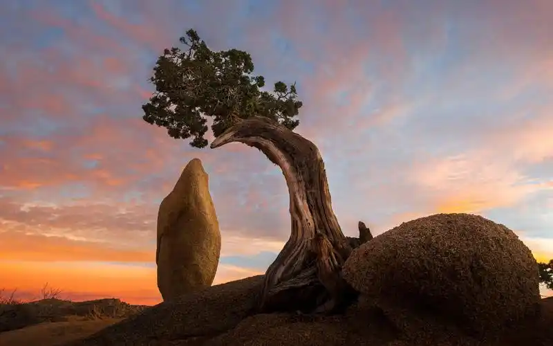 大自然风光美景图片桌面壁纸_风景壁纸_壁纸下载_美桌网