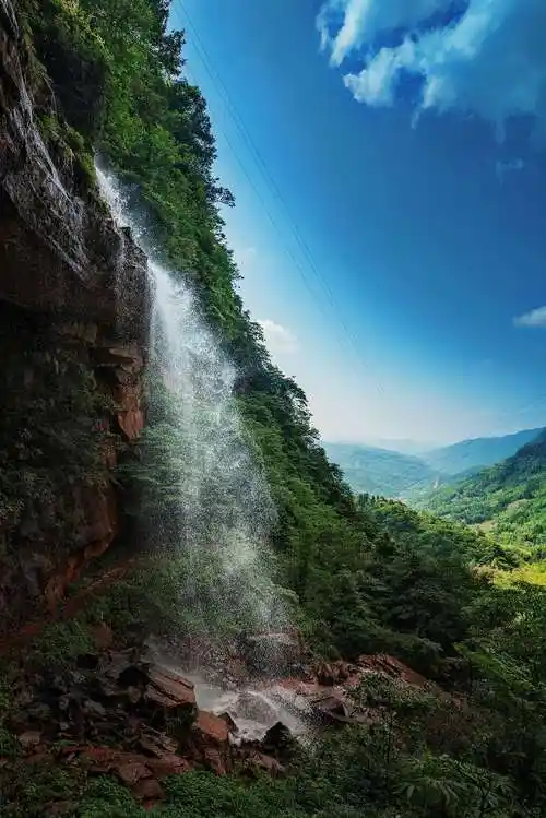 恒信·天鹅堡森林公园