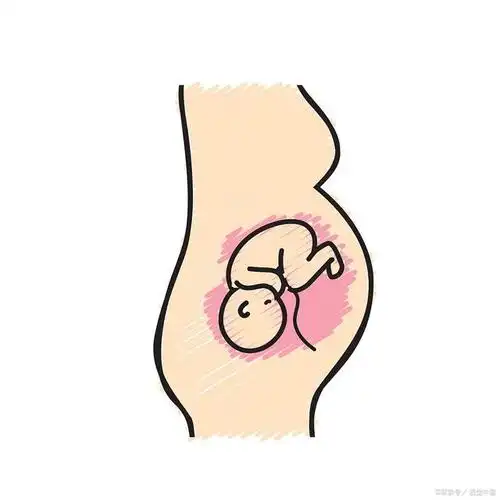 胎儿为什么总喜欢在右边"胎动"