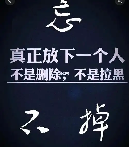 真正放下一个人,不是删除,也不是拉 黑,可是我想从拉黑开始,因为决定