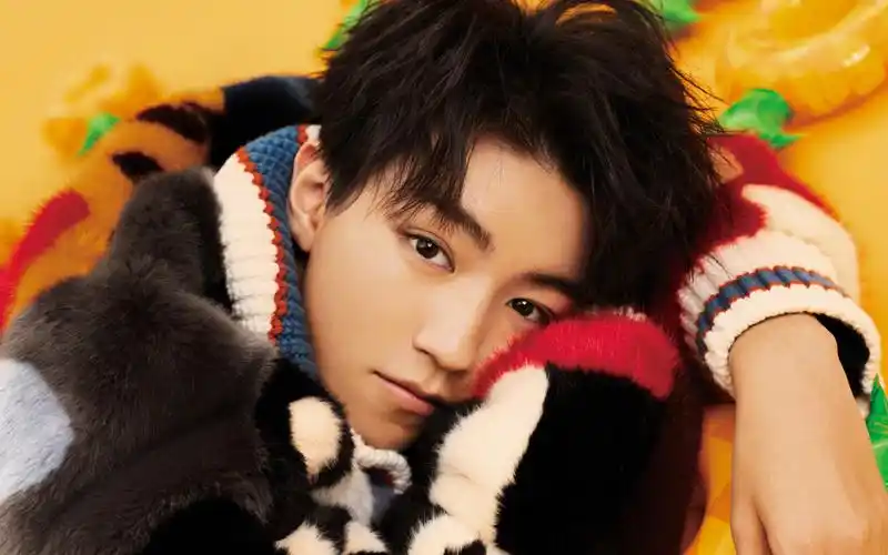 大陆明星,时尚,高清,帅气,tfboys,王俊凯,壁纸,1920x1200