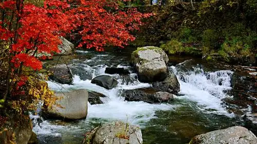 望天鹅风景区奇石怪岩多,泉水瀑布也多,真让人慨叹大自然的天工巧造.