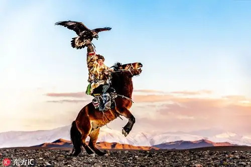 马背之上鹰翅之下走进蒙古国神秘猎鹰族