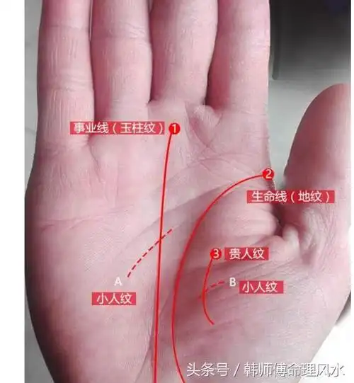弧度大的,较长的贵人线表示来自领导,长辈,高地位人的大力扶助.